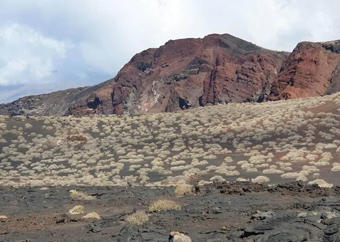 Con Piscina Playa Roja, شقة